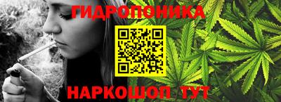 jwh Будённовск