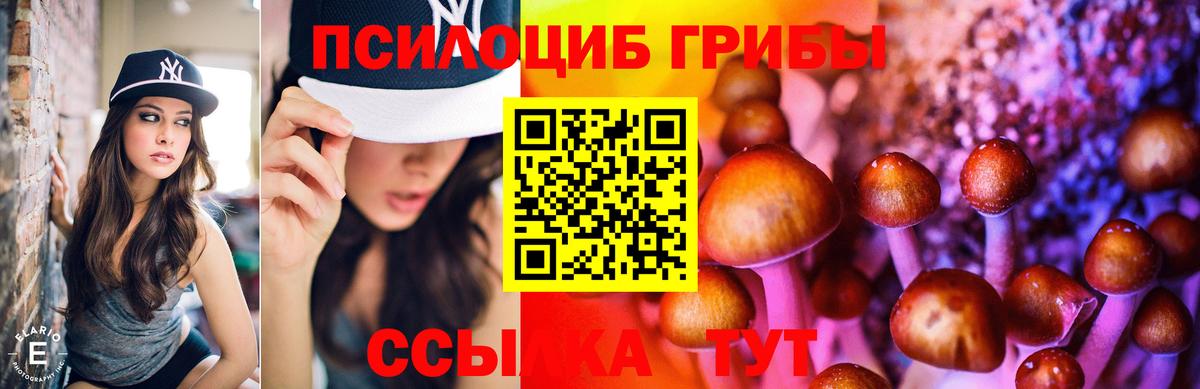 Галлюциногенные грибы MAGIC MUSHROOMS  цены наркотик  Урюпинск  Вход с VPN 
